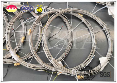 Chine Élément de chauffe isolé par minerai de noyau de double de câble cuivre pour l'appareil de chauffage fournisseur